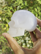 Load and play video in Gallery viewer, Natural Blue Chalcedony • Skull
