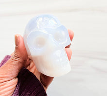 Load image into Gallery viewer, Natural Blue Chalcedony • Skull
