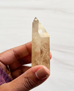 Natural Brazilian Citrine • B