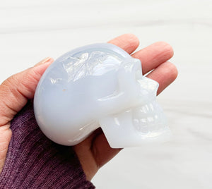 Natural Blue Chalcedony • Skull