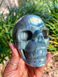 Natural Labradorite • Skull • 3 inches